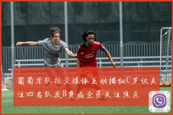 葡萄牙队社交媒体互动揭秘C罗仅关注四名队友B费成全员关注焦点