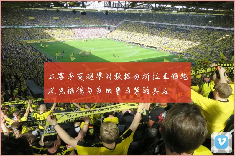 本赛季英超零封数据分析拉亚领跑皮克福德与多纳鲁马紧随其后